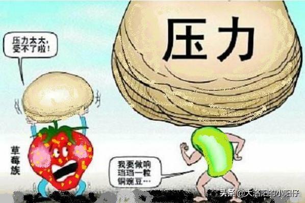 你有多久没有主动关注最新流行音乐或偶像了？对于90后来说是不是初老的表现,为什么？