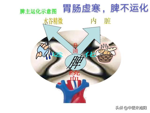 郑小米1215:肠胃虚寒有什么症状，应该吃点什么？