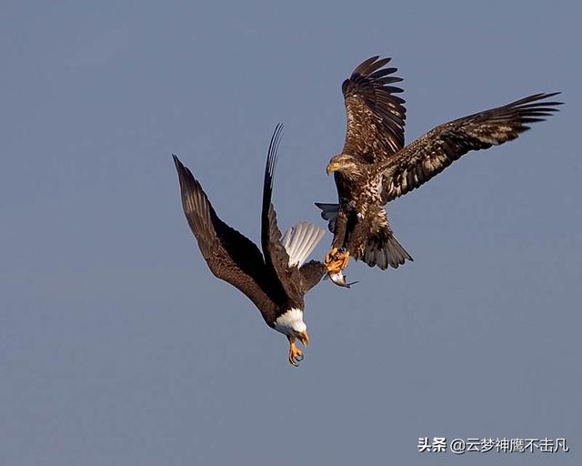 马庆云和德云社,郭老师有什么恩怨?-头条问答