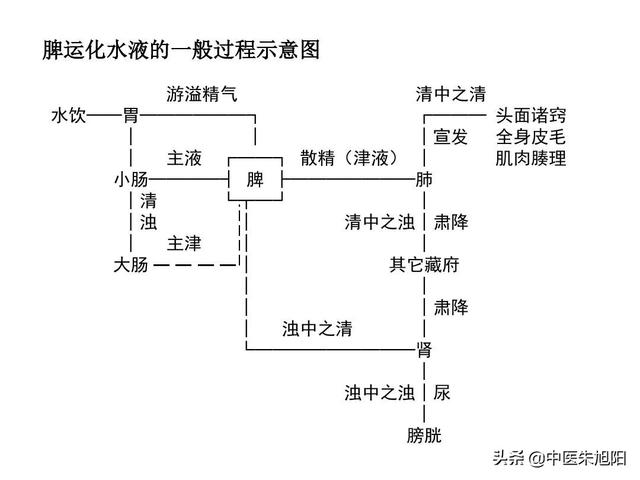 受寒邪侵袭该怎么办，受寒就咳嗽，是怎么回事？