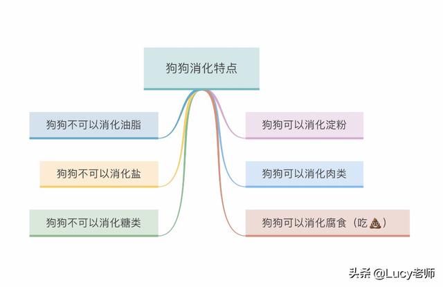 小型狗的寿命:大型狗和小型狗寿命 养过中华田园犬的，最久活了多少年？