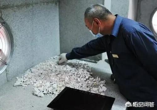 宠物殡葬师收入如何:在殡仪馆工作，月薪8万你会去吗？