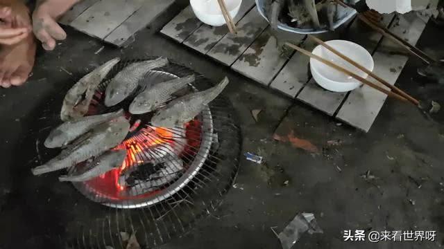 清道夫鱼图片:冷水清道夫鱼图片 养鱼养清道夫有什么好处？