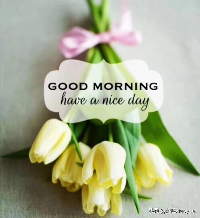 头条问答 - 你的原生家庭对你造成的最大影响是什么?你是如何解决的?