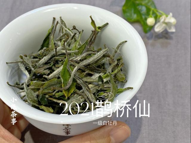 白茶有哪些香气？