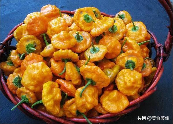 虎皮青椒是哪里的菜(虎皮青椒酿肉是哪里的菜)