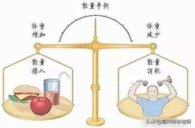 减大肚子的运动视频:腹部有肉怎么锻炼可以减掉
