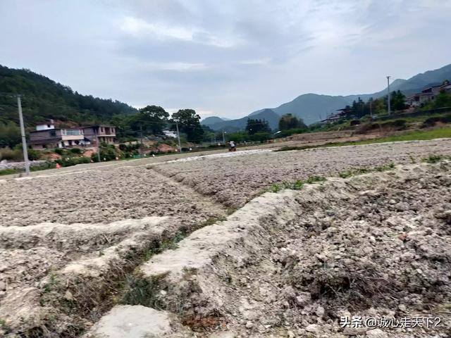 头条上关于风水方面的视频和文章关注度较高,人民和国家对此类文化到底持怎样的态度？