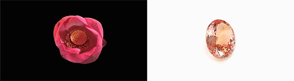 蓝宝石哪些人不宜戴,蓝宝石葡萄优缺点是什么？都有哪些品种？