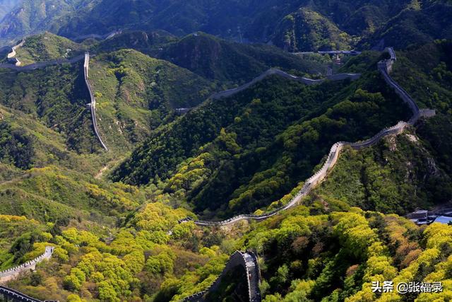 钓鱼猫现身柬埔寨图片:孩子快放假了，暑假的旅行安排好了吗？想去哪里？