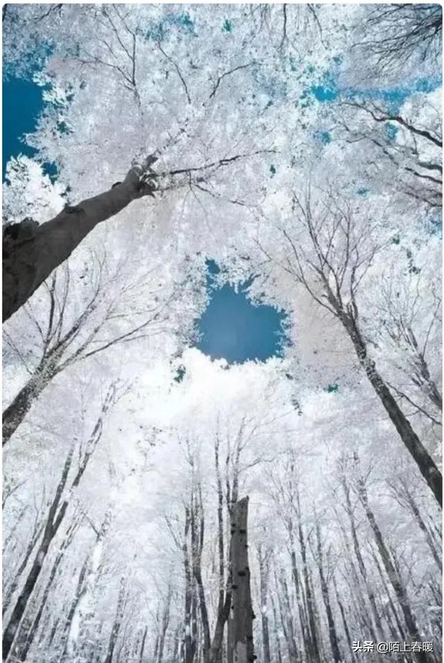 如何评价贾浅浅的所谓的诗词？