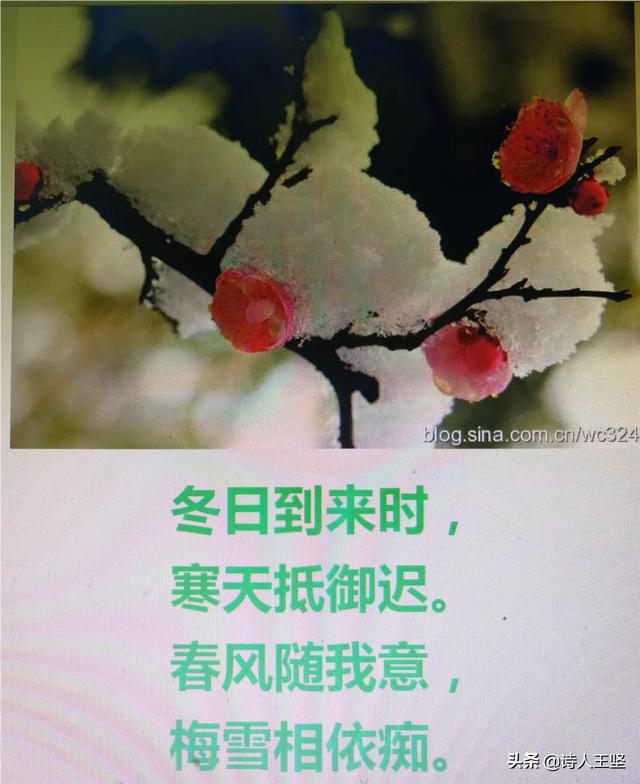 关于秋冬季的诗句有什么？