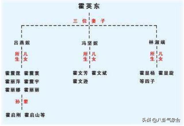 霍英东儿子:张子强不敢对霍英东子孙绑架而敢于绑架李嘉诚儿子，为什么？