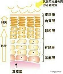 去角质对痘痘有用吗,男生用去角质凝胶效果怎么样？