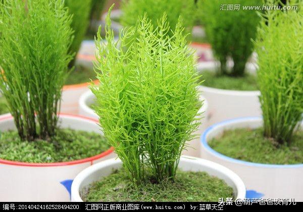 幼儿园学什么,幼儿园小班都学什么东西啊？