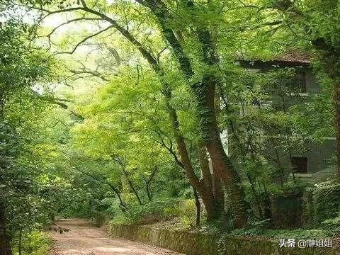 武大蝶楼灵异事件:武汉大学有哪些不为人知的有趣的地方？