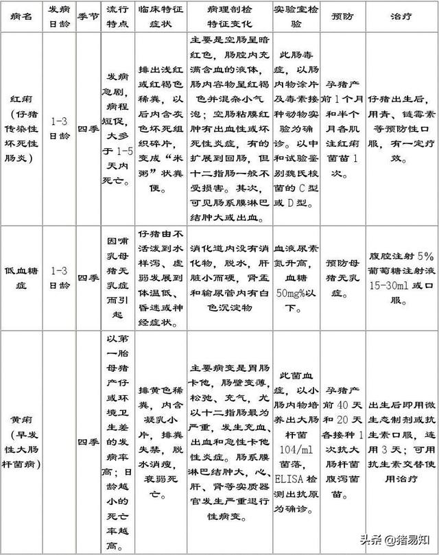 猪传染性胃肠炎的症状及治疗:3日龄猪感染流行性腹泻怎么办？