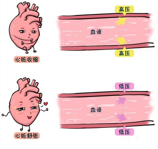 头条问答 舒张压高的人该如何缓解 36个回答