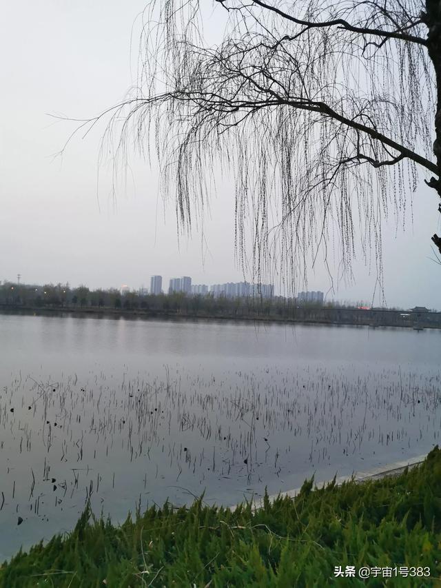 有哪些令人忍俊不禁的笑话？