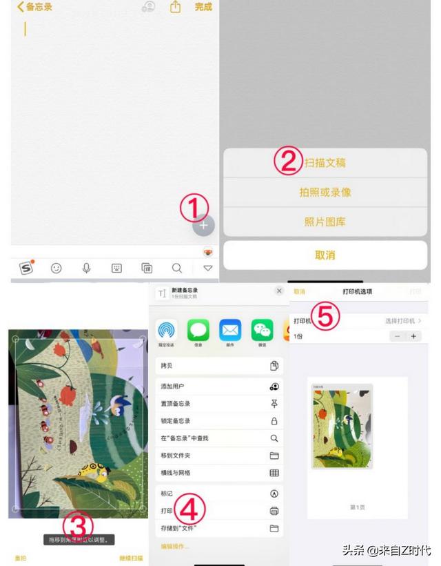 小奶猫直播官方下载ios地址:王者荣耀体验服ios怎么下载？ 小奶狗直播app官方下载ios