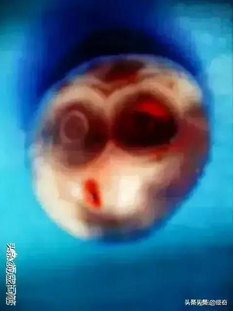 天然大化石原石图片,中国最具影响力的天然奇石有哪些？