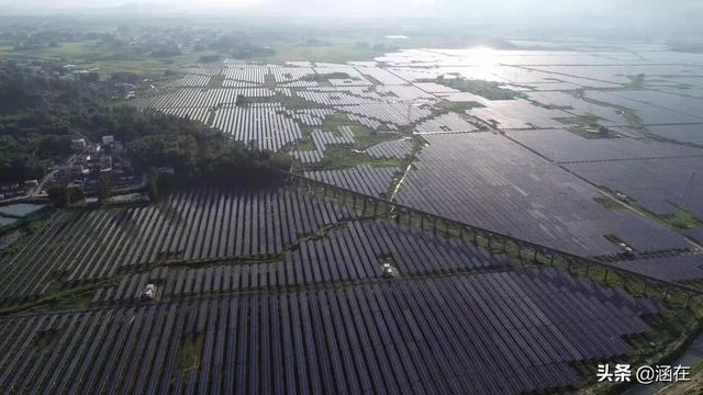 唐山小香猪养殖场:农村养殖什么不愁销路呢？