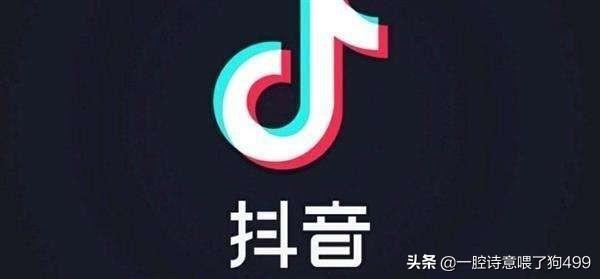 发布视频怎么才能赚钱？