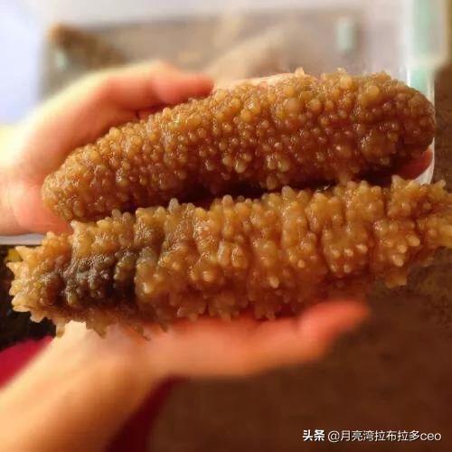 新疆黄玉的功效与作用,黄玉参可以每天吃吗？对身体有影响吗？