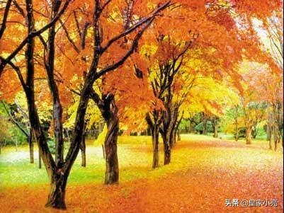 <a href=https://maguai.com/list/256-0-0.html target=_blank class=infotextkey>朋友圈</a>图片立秋:立秋后，农村谚语说“秋不凉，粒不黄”，有科学道理吗？