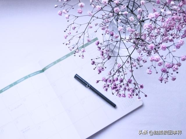 满天星的含义是什么,代表什么(满天星代表着什么象征意义)