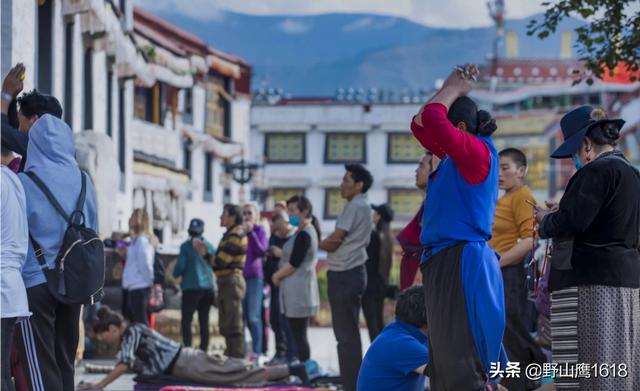 四川大熊猫误入水电站落水:大家都喜欢旅游吗，哪里好玩啊？