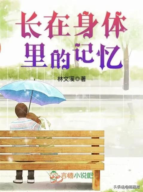 求大神推荐一些高质量的虐心但好结局的言情小说？