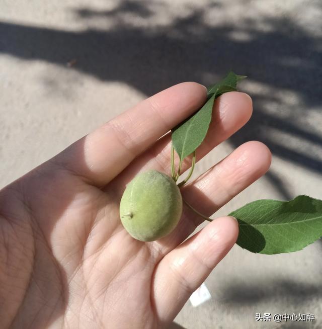 今年40岁了,不想上班,有没有在家一天挣个一二百的职业？