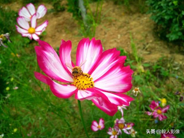 什么样的照片在<a href=https://maguai.com/list/256-0-0.html target=_blank class=infotextkey>朋友圈</a>里比较吸引眼球