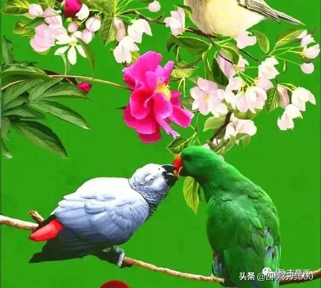 春眠不觉晓，是不是批评睡懒觉，不惜光阴的一首诗？:春眠不觉晓的晓是什么意思 第1张