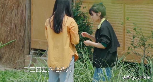 张婧仪和周迅:《向往的生活》张子枫与张婧仪的友谊你觉得美好纯粹吗为什么
