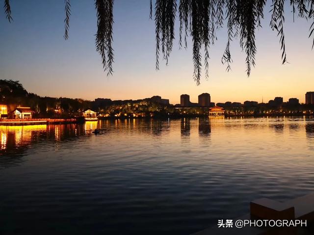命中注定我爱你纪宝贝是什么狗:命中注定我爱你男女主是什么样子的存在？