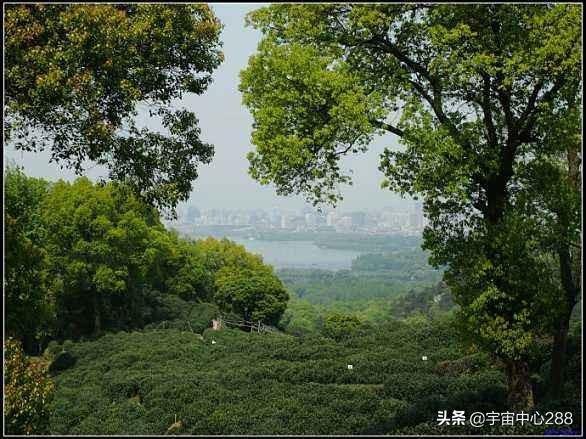 莽山森林公园红叶:宜章莽山森林公园 疫情期间有没有人少、可以爬山的景区？