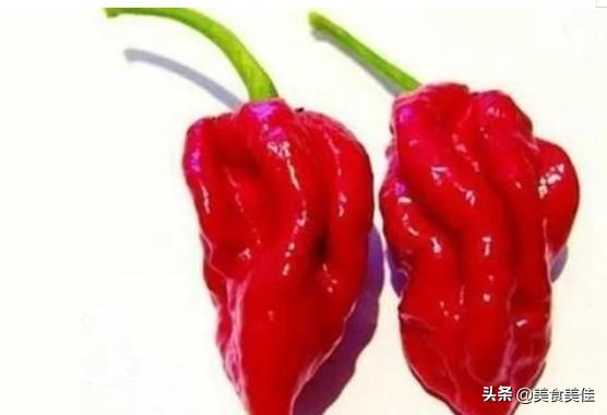 虎皮青椒是哪里的菜(虎皮青椒酿肉是哪里的菜)