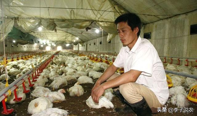 大肠杆菌病英文缩写:大肠杆菌检测英文缩写是什么 猪大肠杆菌病在临床上有哪些类型，如何治疗？