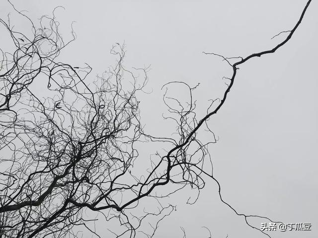 你们家乡过“冬至”日吗？冬至都吃什么好吃的？插图6