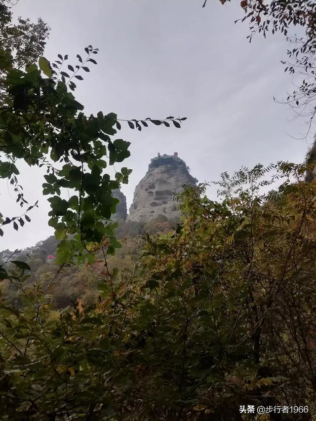 预测,《八佰》票房能超过30亿吗？