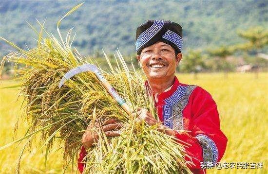 中国未来的新农民,突破的方向在哪里?(如何找到自己的方向?