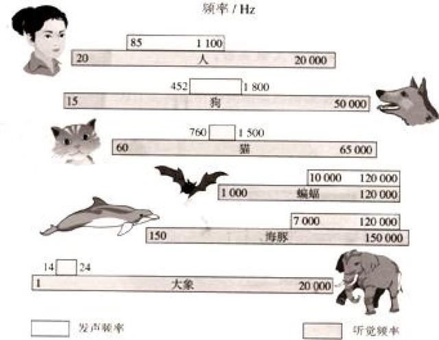 民间绝密档案 小说txt，有没有可能猫狗已经掌握了宇宙的最终奥秘，却没办法告诉人类