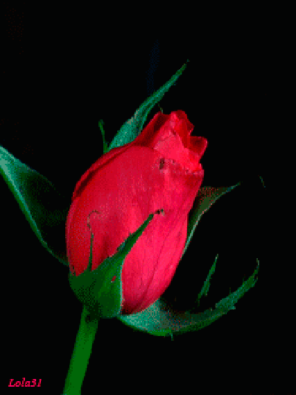 头条问答 - 如何评价付笛声,任静的《知心爱人》?