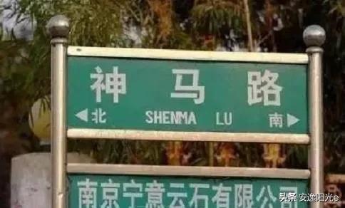 哥伦比亚盆地侏儒兔的个人空间:你见过哪些奇特的街名或巷名？