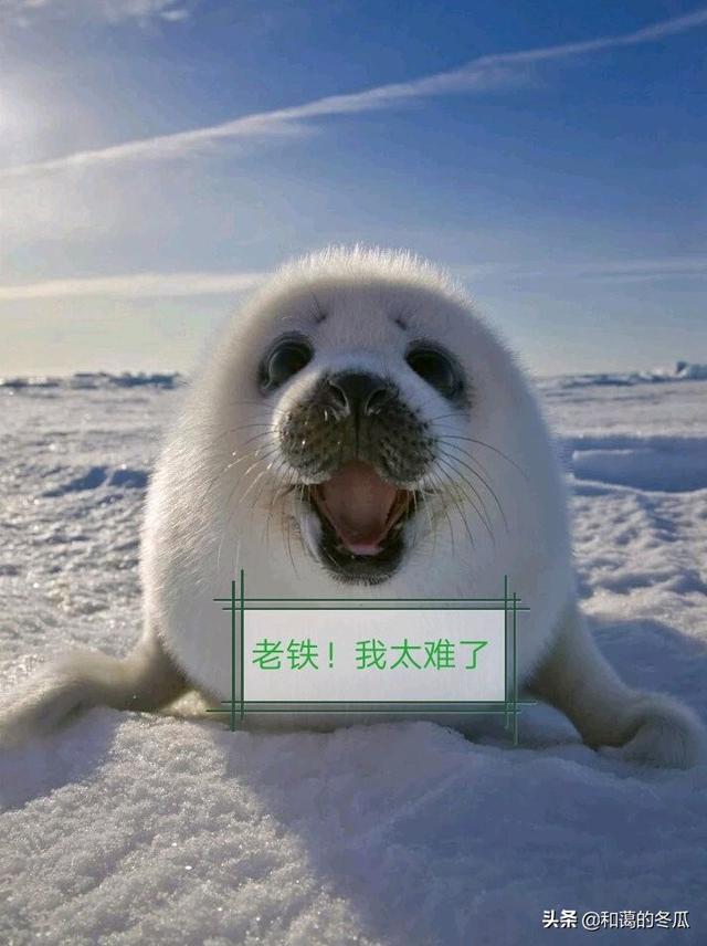 你觉得最让你心酸又快乐的一句话是什么？