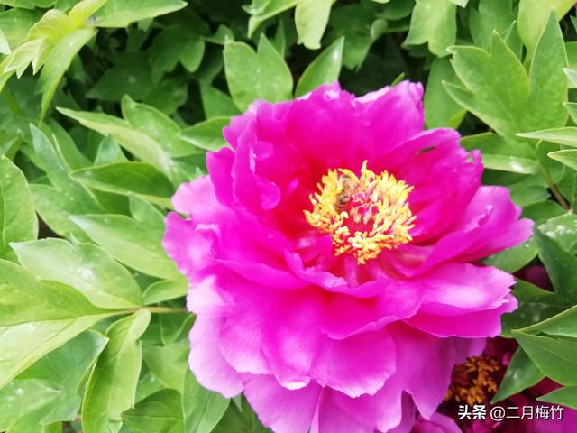 我的华为用了两年卡的不行了，想问用华为的手机最长用几年？插图15