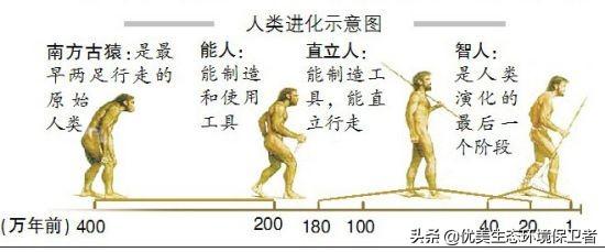 狗的品种及图片:为什么其他动物都有不同种类，而人类只有一种？ 狗的品种图片大全大图