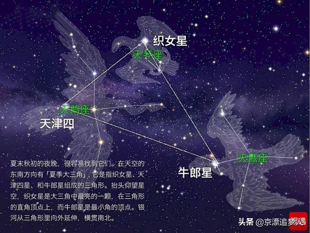 牛郎织女电影:马上要七夕了，小时候有没有趴在葡萄架下听牛郎织女相会的声音？